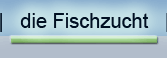 Fischzucht